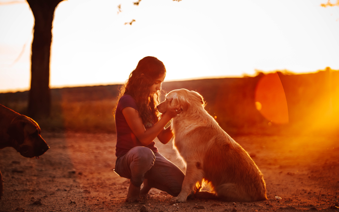 O Upwater® demonstra a sua eficácia numa instalação industrial de tratamento de águas residuais com a ETSA
