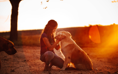 Upwater® demonstrates its effectiveness in an industrial wastewater facility with ETSA